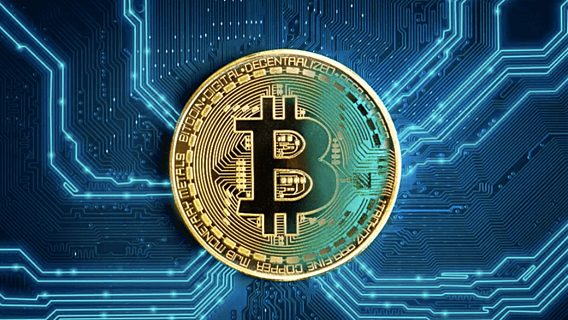 Обучение торговле на бирже криптовалют